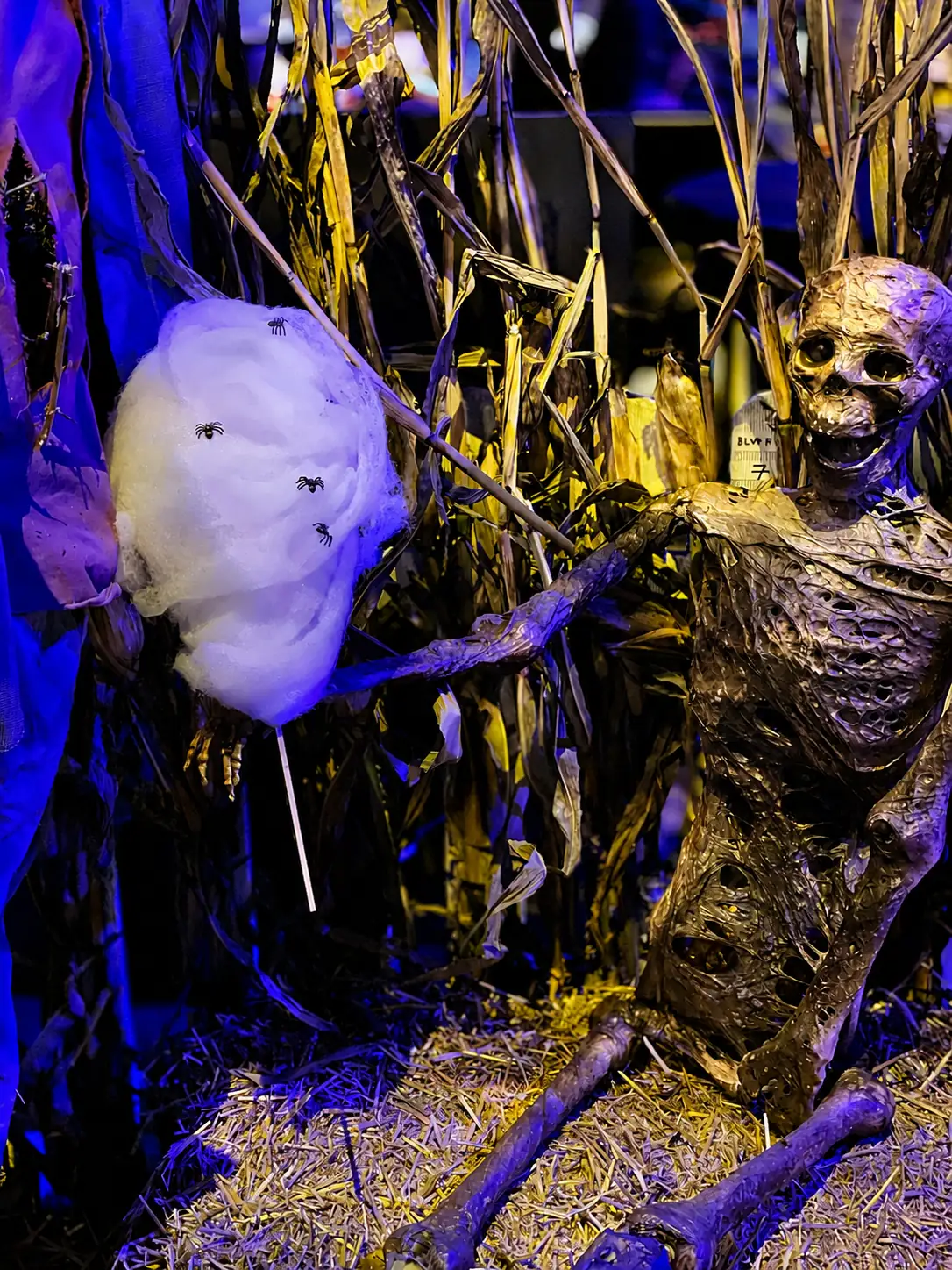 Barbe à papa d'Halloween décorée d'araignées, tenue par un squelette dans un champ de maïs