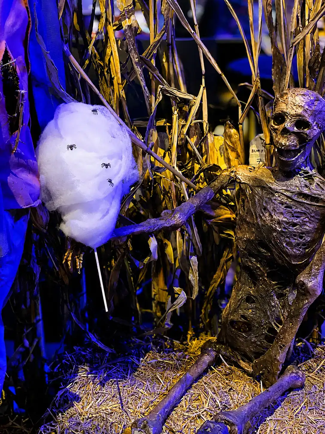 Barbe à papa aux araignées et squelette dans le décor de champ de maïs d'Halloween