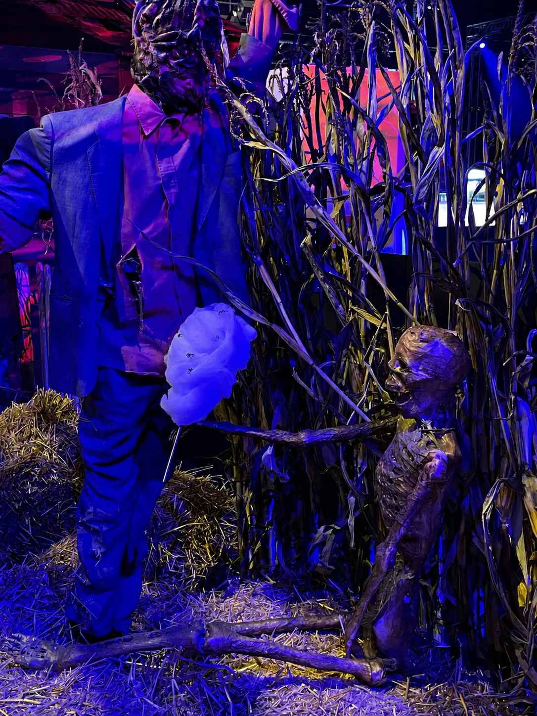 Épouvantail d'Halloween et barbe à papa dans un décor de paille et de maïs